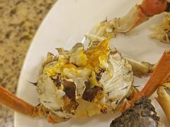 -禾斗海鲜自助(市南银座店)