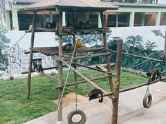 -西霞口神雕山野生动物世界