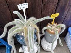 -余村庭仙农家·安吉特色土菜