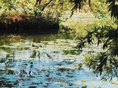 -西溪国家湿地公园