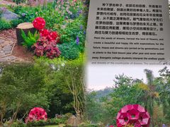 -深圳仙湖植物园