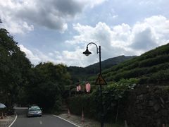 -龙井村