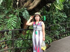 -海南槟榔谷黎苗文化旅游区