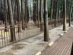 -捞渔河湿地公园