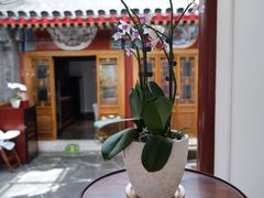 -北京古城老院厉晓麟精致菜