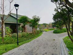 -王借岗森林公园