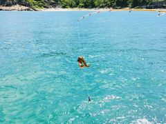 -小猫钓鱼海钓俱乐部(椰梦长廊店)