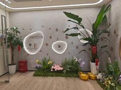 -dōTERRA多特瑞精油生活馆