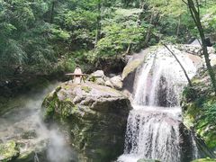 -牛背梁国家森林公园