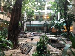景观位-白虎自助餐厅·真老虎·景观自助餐厅(广州长隆酒店)