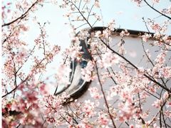 -乌山风景区