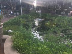 -布里斯班南岸公园