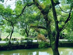 -桂林灵渠景区