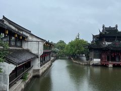 -鲁镇