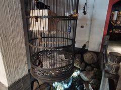 -清真·京华源铜锅涮肉(丰庆店)