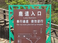-莫尔道嘎国家森林公园