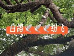 -杭州湖滨in77
