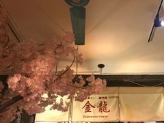 -金龙咖喱