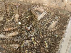 -山海经·海边人家 海鲜新青岛菜(扬州路店)