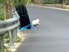 -东天目山风景区