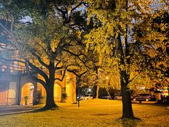 -叶叶菩提·晋福宫