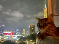 -珠江夜游广州塔·中大码头