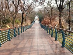 -上海吴淞炮台湾国家湿地公园