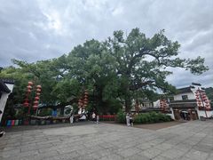 -新安江山水画廊风景区