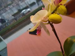 -济南香格里拉·咖啡泉自助餐厅