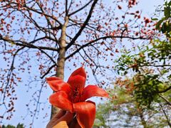 -晓港公园