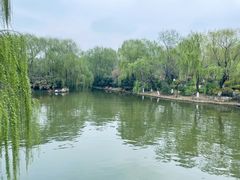-济南大明湖景区