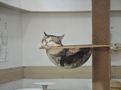 -金光华广场