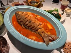 -阿五黄河大鲤鱼(英协路店)