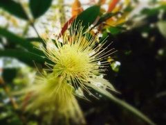 -南通洲际绿博园