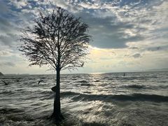 -捞渔河湿地公园