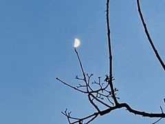 -404干式熟成牛排馆•聚会餐厅