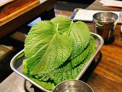 -Dombe豚(黑猪肉街店)