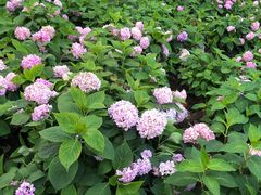 -常州古运河南大街文化旅游区-人民公园