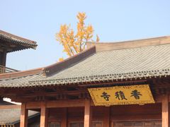 -香积寺
