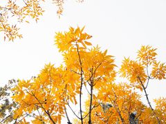 -迎泽公园