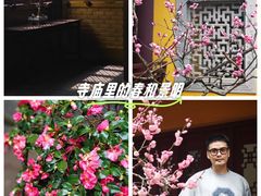 -太平禅寺