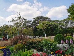 -东莞植物园
