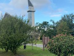 -盐城丹顶鹤湿地生态旅游区