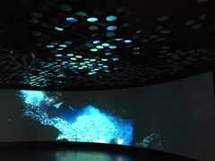 -同济大学四平路校区深海探索馆