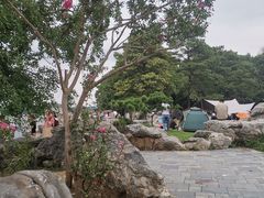 -东湖落雁景区