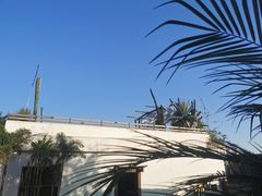 -悦哉·派对·草坪婚礼·围炉煮茶(三圣乡店)