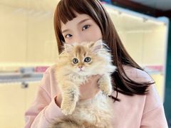 -lincat·猫舍(广州店)