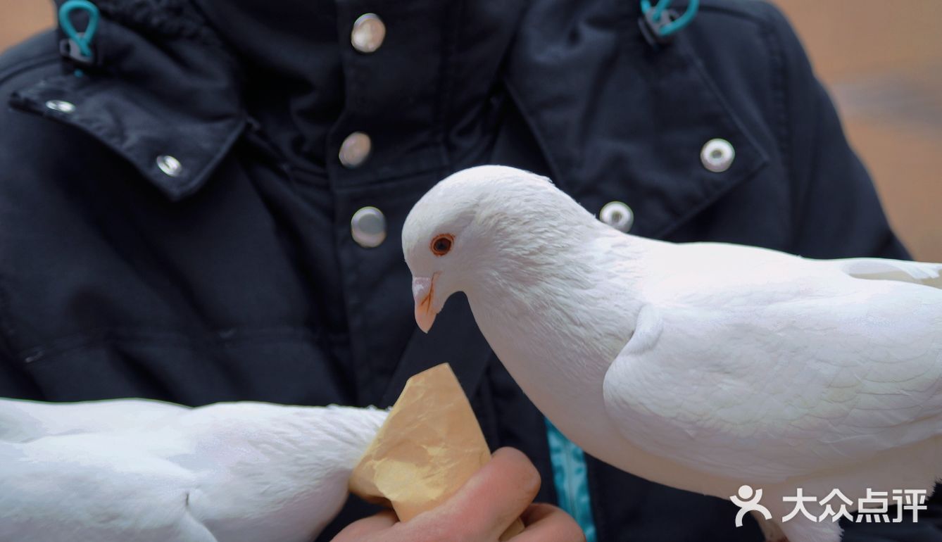 南京出游|“第几次 我们一起上钟山？”