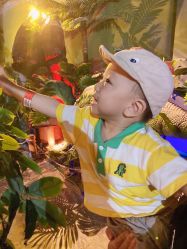 -恐龙探索乐园(磁器口店)