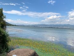 -西昌邛海湿地